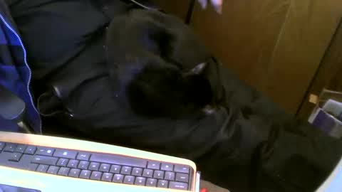 Snapshot of muller520 chatting on February 13, 6:48 pm muller520 online show from February 13, 6:48 pm