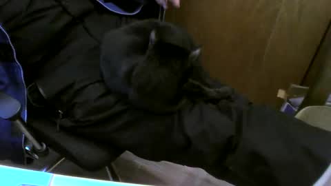 Snapshot of muller520 chatting on February 26, 3:41 pm muller520 online show from February 26, 3:41 pm