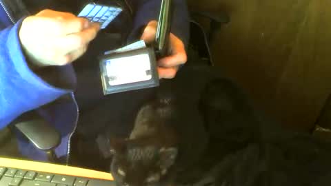 muller520 online show from February 25, 3:54 pm