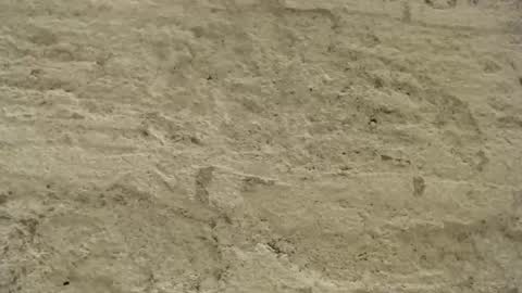 Mullty online show from December 18, 8:36 pm