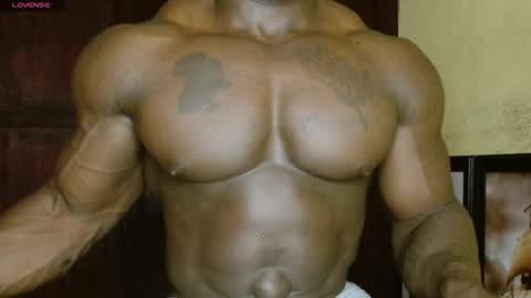 Snapshot of musclegodsammy23 chatting on February 19, 2:46 pm musclegod23 online show from February 19, 2:46 pm