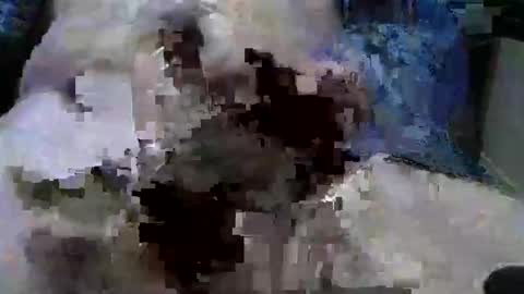 Snapshot of mycock594498 chatting on January 9, 3:12 pm mycock594498 online show from January 9, 3:12 pm