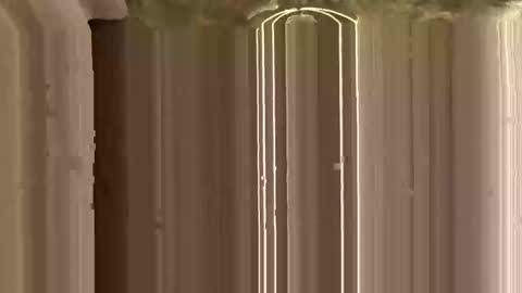 Ricky online show from November 12, 3:12 pm