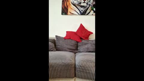 Snapshot of myrostus chatting on March 4, 2:45 pm myrostus online show from March 4, 2:45 pm