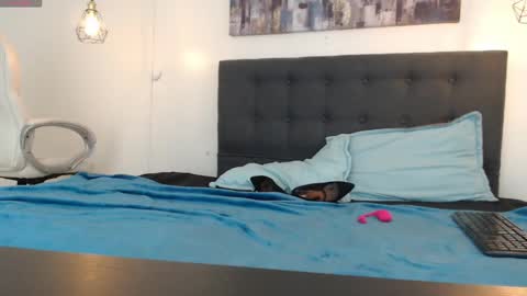 Snapshot of mysterious_girl42 chatting on January 5, 1:26 pm No Name online show from January 5, 1:26 pm