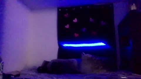 Snapshot of nadiabella07 chatting on February 15, 8:13 am Missbellaaaxox online show from February 15, 8:13 am