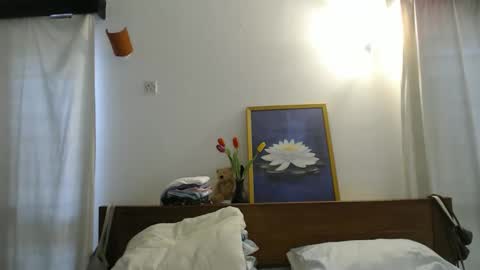 Nana online show from November 18, 7:24 am