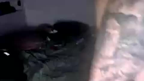 Snapshot of nancyngeorge chatting on June 15, 1:57 pm nancy n george online show from June 15, 1:57 pm