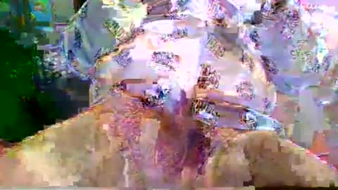 Snapshot of nano527 chatting on February 12, 7:25 am nano527 online show from February 12, 7:25 am