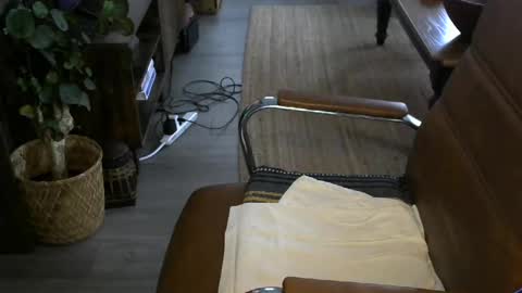 nareth338 online show from April 8, 2:50 pm