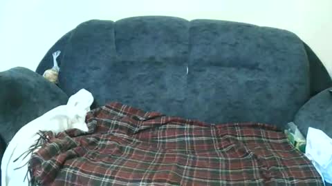 Snapshot of nastylily1 chatting on January 17, 7:02 am nastylily1 online show from January 17, 7:02 am