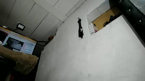 Snapshot of nattasha_foxx chatting on June 23, 2:09 am natalia online show from June 23, 2:09 am
