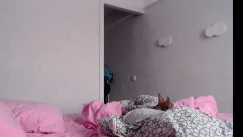 Snapshot of naughty_christie chatting on February 4, 4:05 am Chris Carrie online show from February 4, 4:05 am