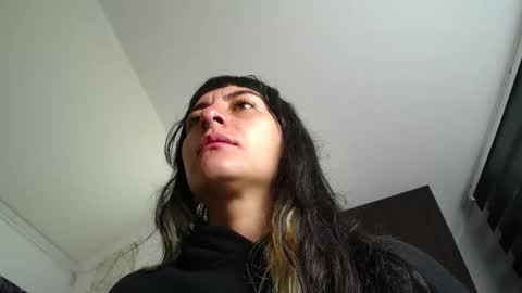 Kitten online show from December 17, 10:54 am