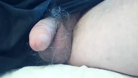 neohiom4f online show from April 1, 5:54 pm