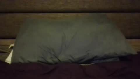 Nerfylil online show from January 8, 4:37 am