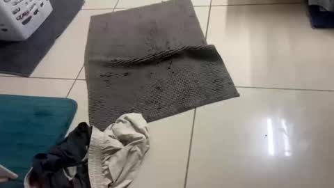 Snapshot of nesquick741960 chatting on December 22, 12:02 pm nesquick741960 online show from December 22, 12:02 pm