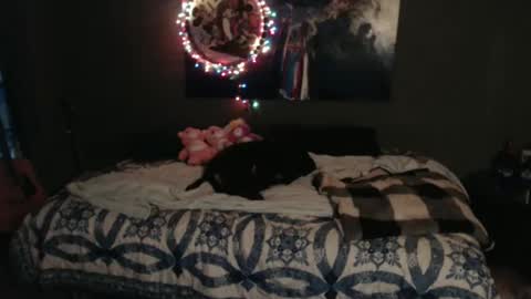 Snapshot of nettiedmonroe chatting on November 8, 5:34 pm Nettie D Monroe online show from November 8, 5:34 pm