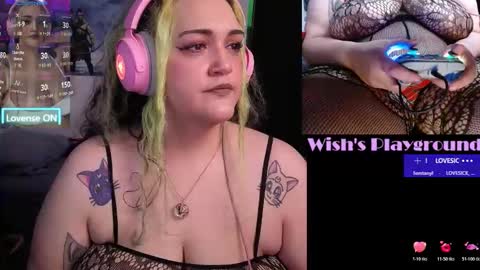 Wishs Playground online show from January 13, 3:28 pm