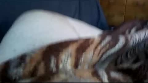 Matt online show from December 1, 7:36 pm