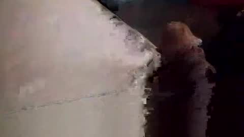 Matt online show from November 23, 9:03 pm