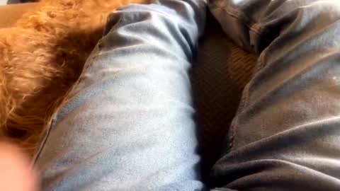 Snapshot of newjerseyhorny chatting on December 15, 7:10 pm newjerseyhorny online show from December 15, 7:10 pm