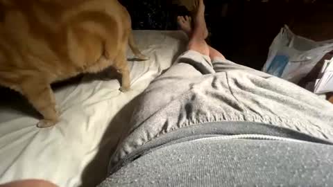 ngianop online show from April 12, 9:25 am