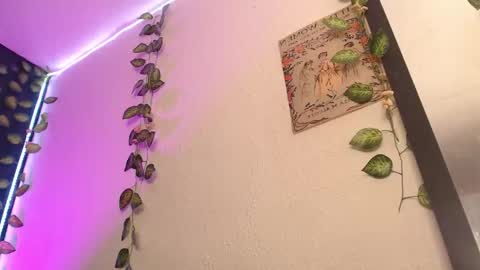  niakat  online show from March 21, 3:22 am