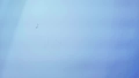 Snapshot of nicole_sounders chatting on January 19, 11:25 am Nicolle online show from January 19, 11:25 am