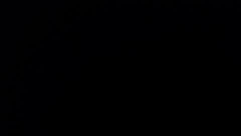 Nicole online show from September 11, 11:43 am