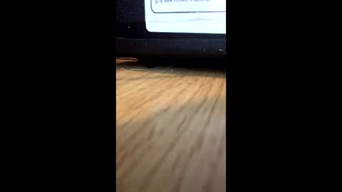 nightmoves1970 online show from December 2, 1:00 am