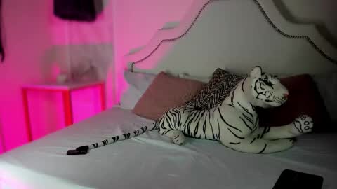 Snapshot of niicole_garnerr chatting on February 5, 3:05 pm nicole online show from February 5, 3:05 pm