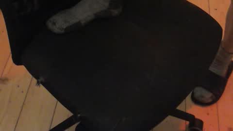 nikitalo online show from October 30, 4:36 am