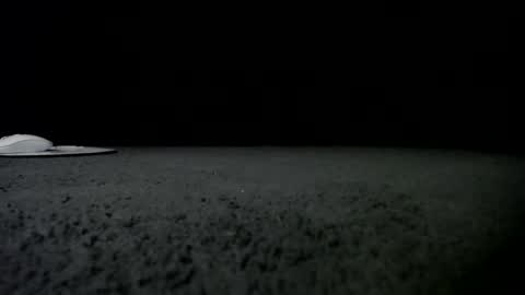 Snapshot of nikkkibabyyyy chatting on January 24, 9:49 am Niquita Sparkles online show from January 24, 9:49 am