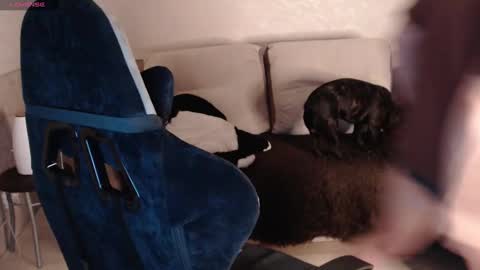 Snapshot of nikolos_vise chatting on January 29, 9:28 pm Nikolos online show from January 29, 9:28 pm