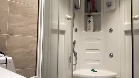 Niks online show from December 15, 4:28 am