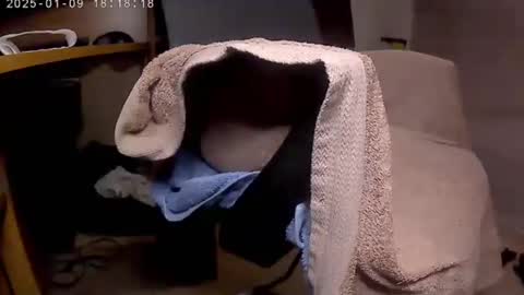 nineinchhard online show from January 9, 6:15 pm