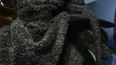 nineinchhard online show from January 26, 11:06 am