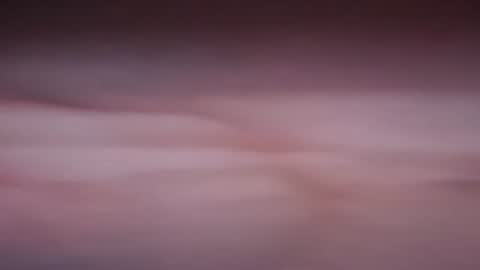 nne931 online show from July 8, 12:48 am