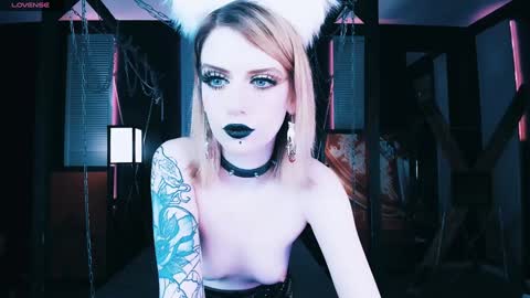 Snapshot of noah_elmer chatting on January 11, 2:20 am REAL name LiaDM are always open online show from January 11, 2:20 am