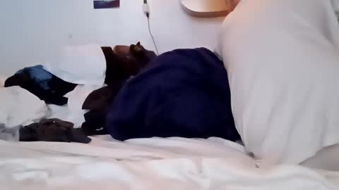 Snapshot of noah_wesley chatting on January 18, 2:12 pm Noah Wesley online show from January 18, 2:12 pm