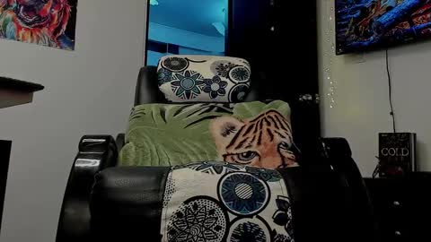 Snapshot of noahbrawn chatting on January 17, 6:23 pm LIAM- noah online show from January 17, 6:23 pm