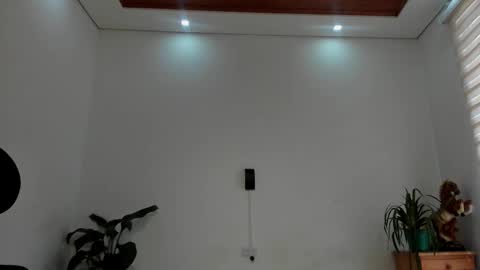 Snapshot of noahbrawn chatting on February 2, 1:21 pm LIAM- noah online show from February 2, 1:21 pm