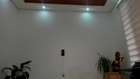 Snapshot of noahbrawn chatting on February 19, 1:18 pm LIAM- noah online show from February 19, 1:18 pm