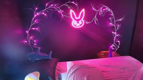 Noah Xtar online show from November 13, 2:54 am