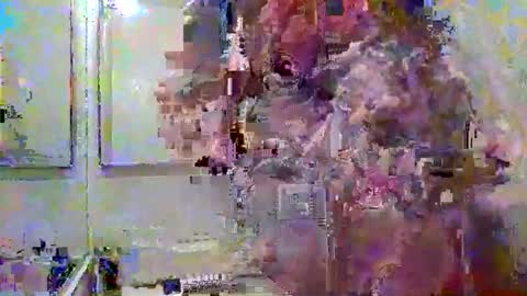 noboundariesinprivate online show from March 18, 4:37 am