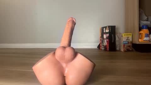 nocturnalhabits online show from October 26, 9:21 pm