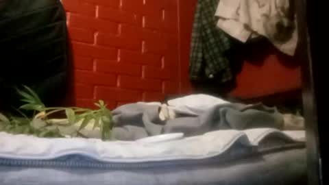 Snapshot of nocturnus1980 chatting on September 23, 5:21 am nocturnus1980 online show from September 23, 5:21 am