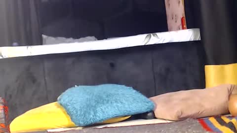 Noir Thats My Name Call Me Bablicious online show from December 16, 10:03 pm