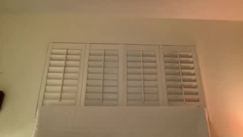 noscandal online show from November 14, 5:06 am